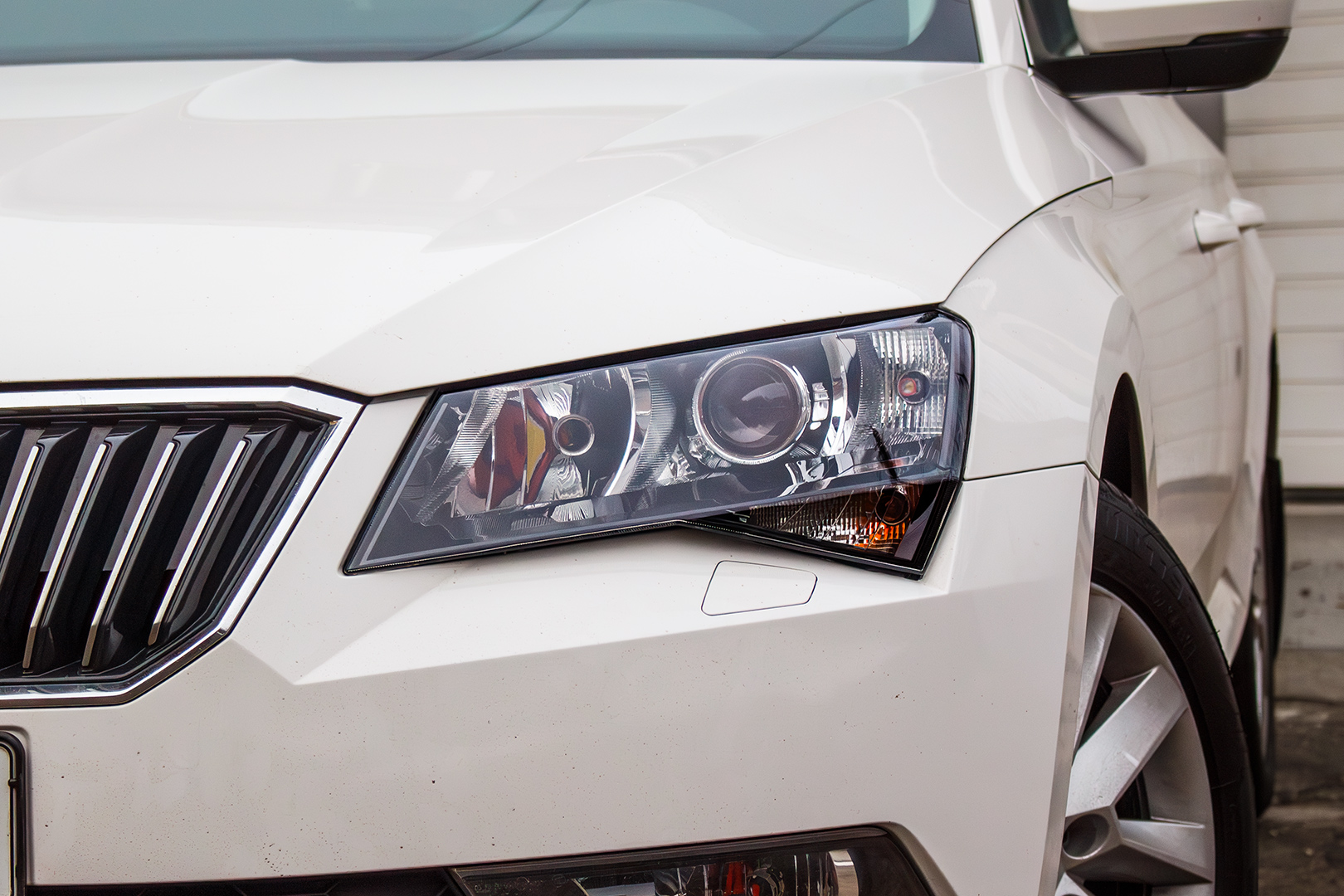 Skoda Superb встановлення світлодіодних лінз Bi-LED T-Rex Pro